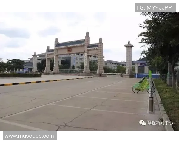 章丘足球明星阵容全景展示与精彩瞬间回顾 章丘足球明星阵容全景展示与精彩瞬间回顾