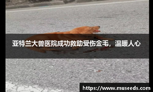 欧亿体育